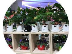 -AEON永旺(东方宝泰店)