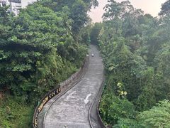 -圣淘沙天际线斜坡滑车