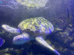 -太平洋海底世界