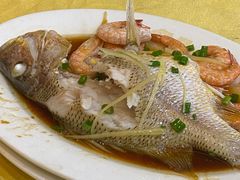 -阳江餐厅·30年老字号·粤菜海鲜大排档