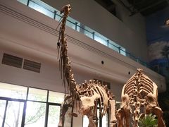 -自贡恐龙博物馆