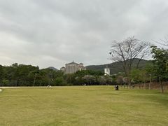 -大屏嶂森林公园