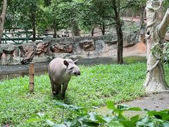 -清迈夜间动物园