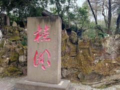 -桂湖森林公园