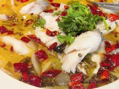 -索菲克·中西融合餐厅