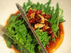 -西贝(六里桥旗舰店)