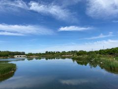 -马家湾湿地公园