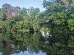 -新江湾城公园