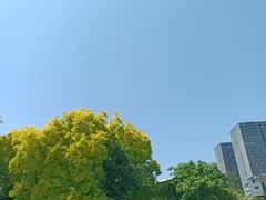 -石饮红星包子(中山路店)