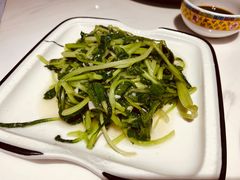 清炒鸡毛菜-19号私房菜(云南路店)