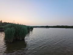 -西青郊野公园