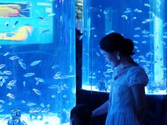 -海合安成都极地海洋公园