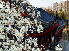 -堤角公园