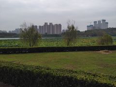 -月湖风景区
