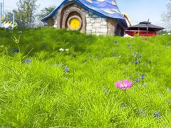 -水上乐园·欢乐世界