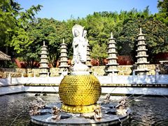 -泰山风景名胜区-普照寺