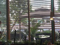 -阿斯牛牛·凉山菜(新会展店)