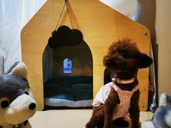 -Husky Go! 哈士奇体验馆·宠物咖啡厅狗咖