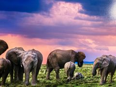 -罗红摄影艺术馆