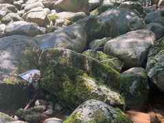 -陕西省红河谷森林公园