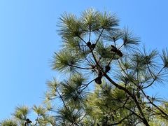 -宝岩生态观光园