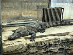 -石家庄市动物园