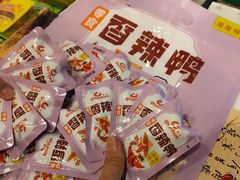 -郴州特产舜华临武鸭(郴州西站店)