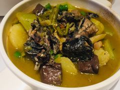 四川青皮莴笋烧黑嘿鸡-眉州东坡·熊猫主题餐厅(枫蓝店)