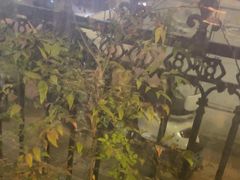 -半闲斋羊肉铺(齐礼阎店)