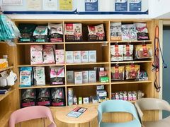 -宠颐生宠物医院·异宠猫科内科·诊疗中心宠巢店