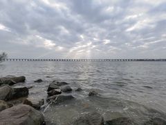 -宝安西湾红树林湿地公园