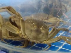 -吉源大排档·鱼生·海鲜(烧烤彩印厂店)