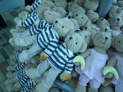 -济州岛泰迪熊博物馆