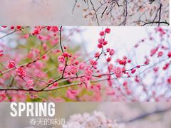 -白塘生态植物园