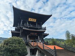 -大唐贡茶院