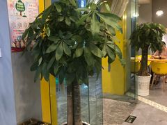 -老陈家擀面皮(平凉路店)