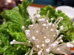 -食膳人家·永州美食地标(双牌店)