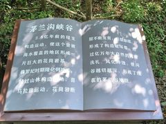 -茅兰沟国家森林公园