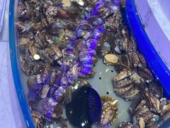 -澜悦港海鲜体验主题餐厅