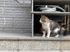 -BE NORMAL CAFE(霞溪路店)