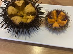 -海胆小馆(东北水饺·春柳店)