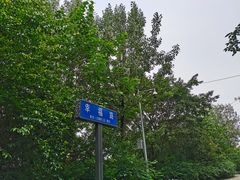 -三圣花乡旅游区