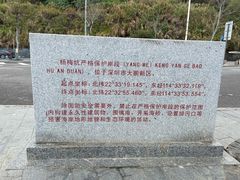 -杨梅坑