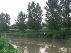 -洨河生态公园