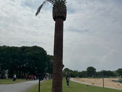 -上海月湖雕塑公园