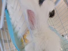 -怪兽屋·羊驼·猫咖·狗咖(俊华广场店)