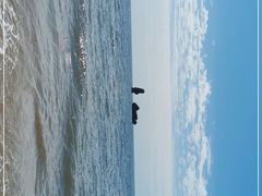-碣石国家级海洋公园