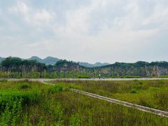 -南山植物园