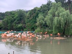 -宁波野生动物园
