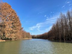 -上海海湾国家森林公园